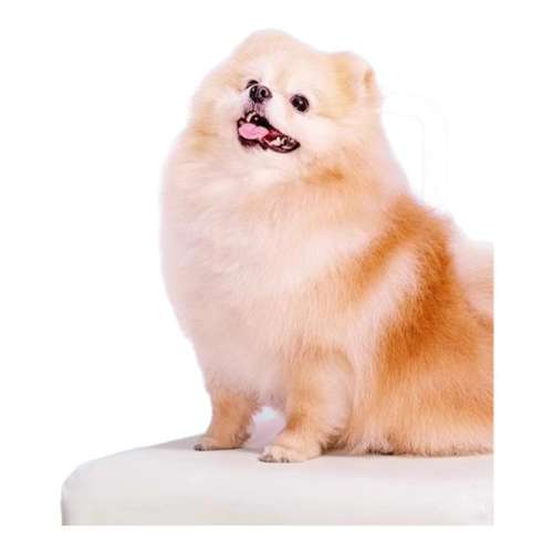 ¿ͳ ζ5 95g ƤͷĽ˹ζѡ11.9Ԫ