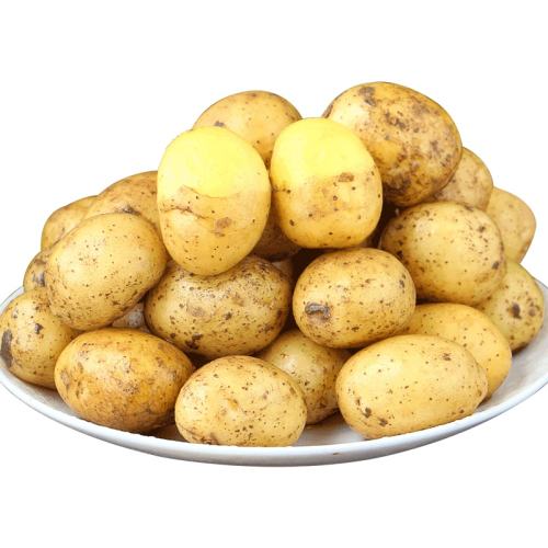 ڲ1500g СҴС ڡʩС7.8Ԫ