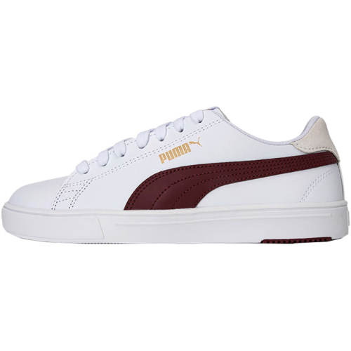 374902-29 35.5 Puma/ٷƷŮаЬ925Ԫ5(185Ԫ/)