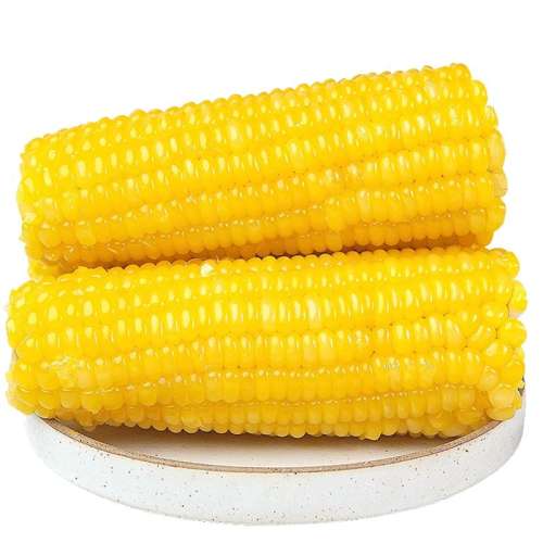 ͷŴ׶220g10 2024ʻŴ10װ23.73Ԫ