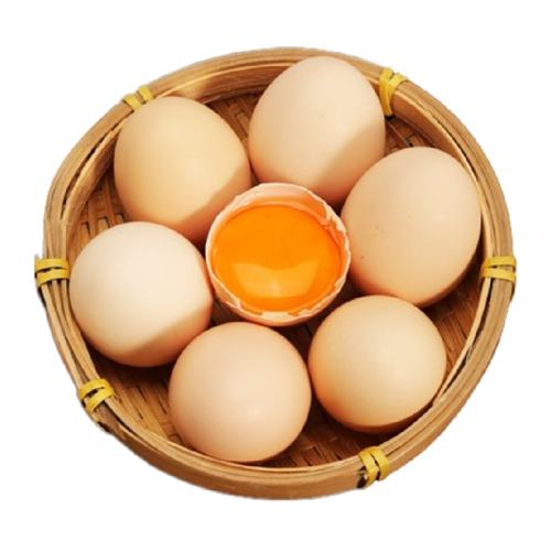 15ö ȸɢ42g*15ö79.5Ԫ5(15.9Ԫ/)