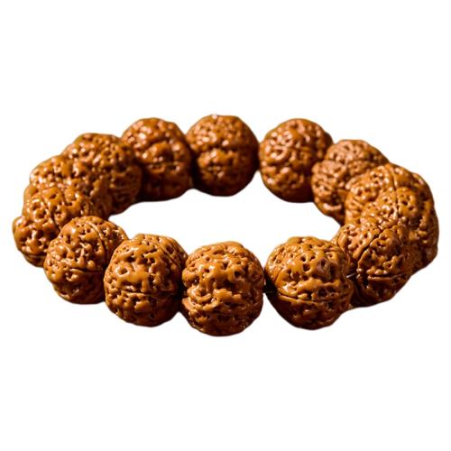 ᲴԭѡȦΧ15-16cm ȻᲴӴհ111.6Ԫ2(55.8Ԫ/)