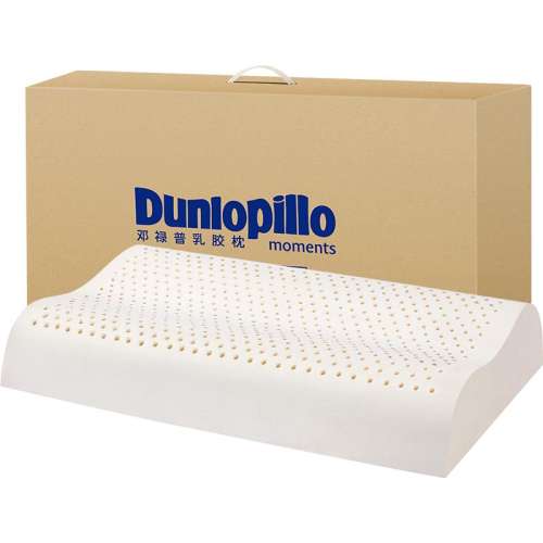 ECO PLUS  ĦͲ DUNLOPILLO»齺ͷʵ739.9Ԫ,ۺ369.95/