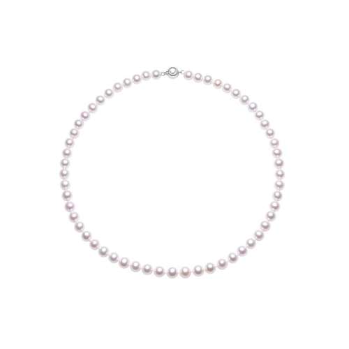 ۻ㣺43cm ƷƼԲǿ΢6mm ܴƷԲǿ699.75Ԫ