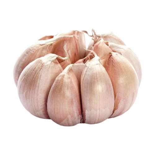 500g С(4CM) ظɴͷ5.8Ԫ