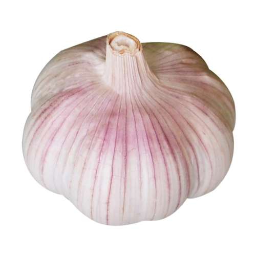 ۻ㣺500g С(4CM) زֱũҸ5.8Ԫ