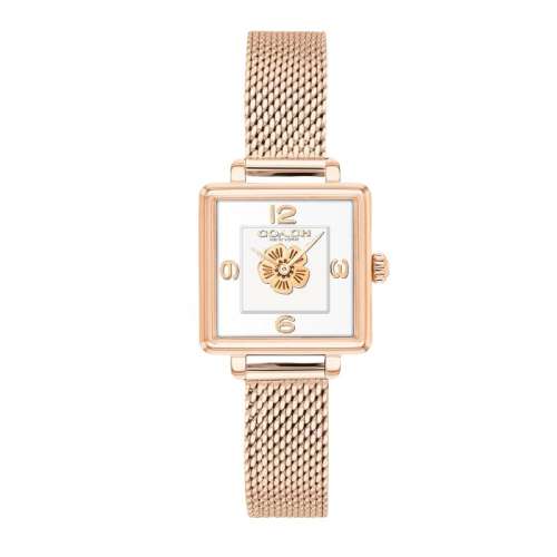 14503697 coachޢϵõС1389Ԫ