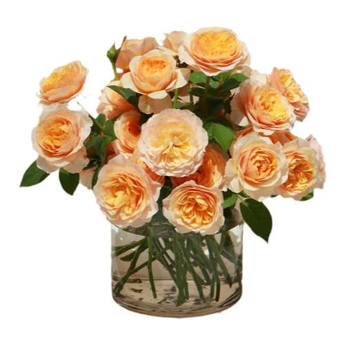ػݡѩҫ1 Ժ ٵĻ԰¼ɫɳʯ74.4Ԫ4(18.6Ԫ/)