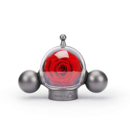 ROSEONLY SKULL PANDA õ 618񻶽ڡROSEONLYŵõ廨Ů699.15Ԫ