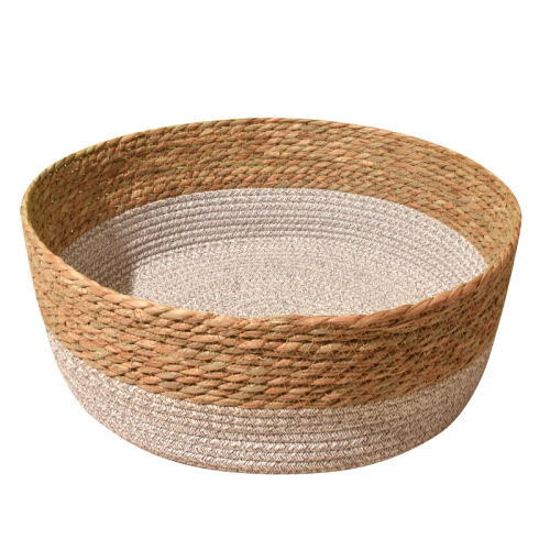 ͨϯѣ Сţֱ35cm/6ڣ ͸ļٱèѹ9.8Ԫ