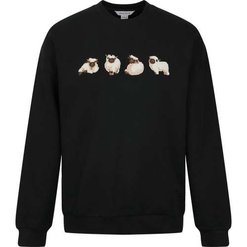 �ۻ��㣺���� S ����Բ������URȤζ����