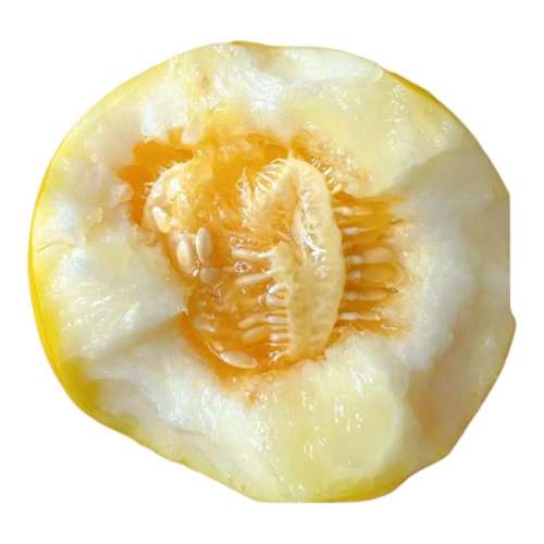 ڲ1 Լ۱ȸߡ 5.7Ԫ