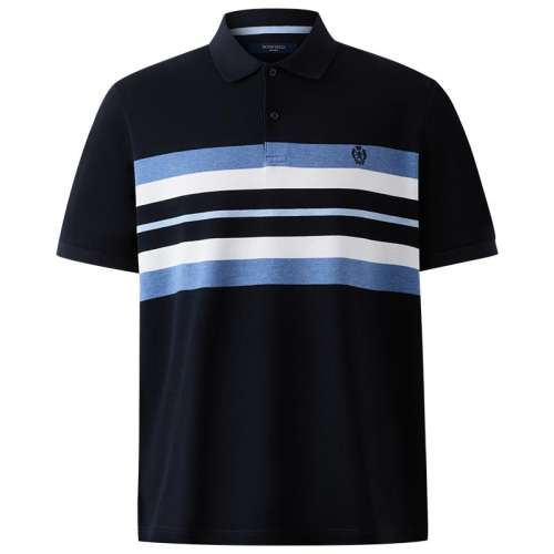 ɫ 170 ʱTɶPOLO419.5Ԫ