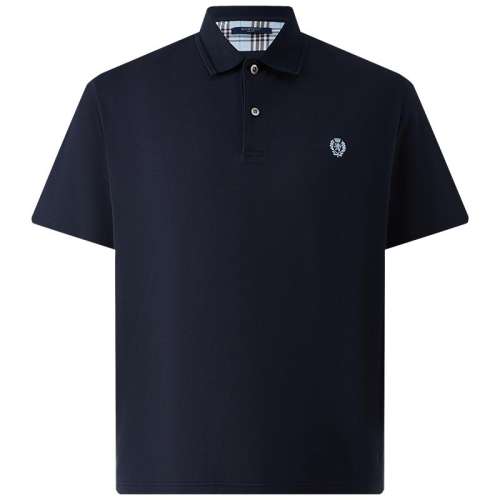ڲɫ 170 ɫʱпɶPOLO610Ԫ