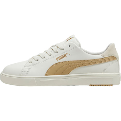374902-32 35.5 Puma/Ů˶Ь234Ԫ