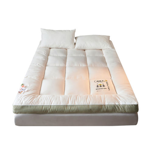ǼƵ˯  ص°-Լ6cm-ѹ Ӻ-90*190cmά Ӻάⷿרõѧ41.25Ԫ