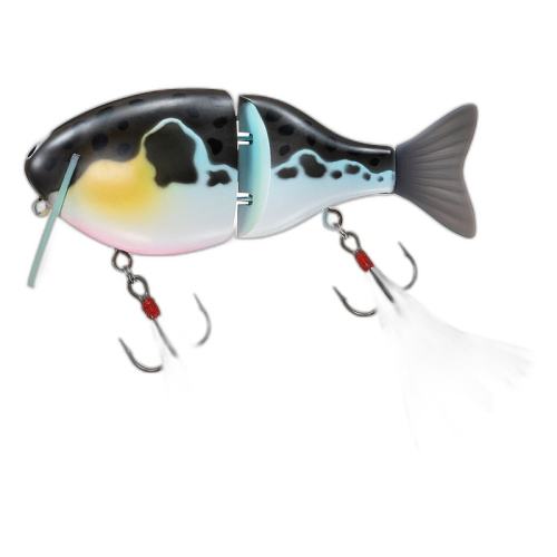 N/A ͨ ձֱDaiwa  148Ԫ