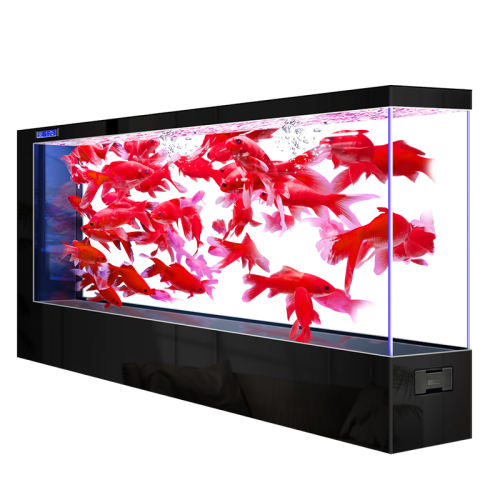 ɫײ+ʾ+ 80x40x130cm 칫ҹ˾߶˴׿2025¿ϳײˮ1680Ԫ