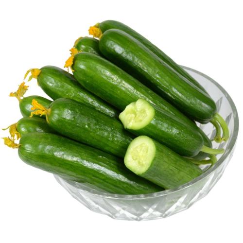 2500g Ʒʺˮƹ517.9Ԫ