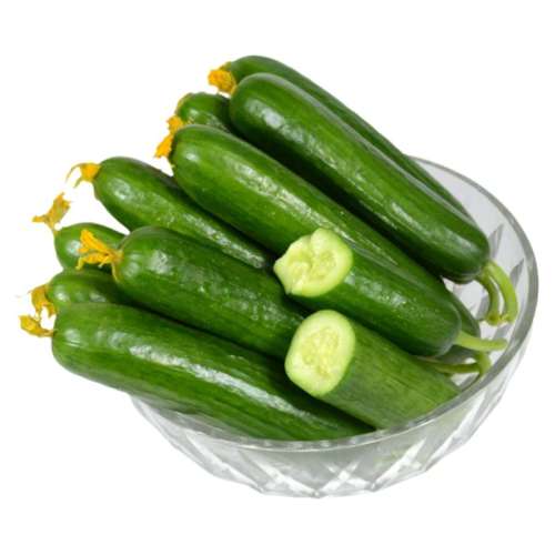 1500g ƹСƹ512.9Ԫ