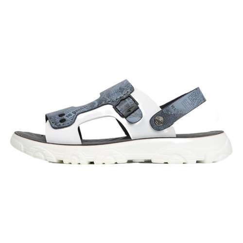 ۻ㣺ɫ 38 Ь2024ļ¿107Ԫ