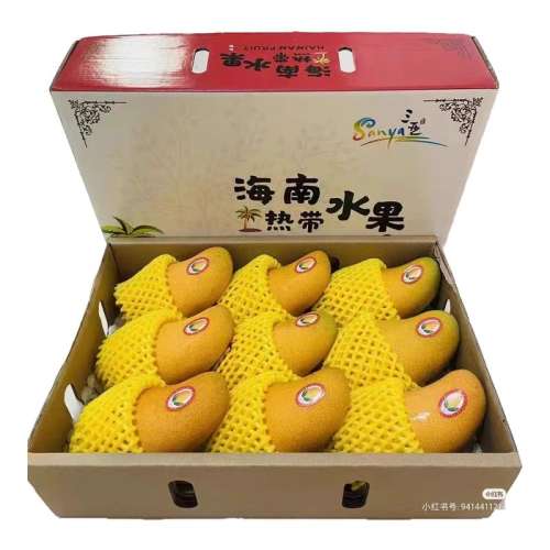 ڲ1 С300 2025Ͻâժâ3.7Ԫ