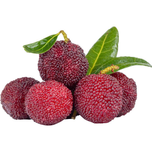 ڲ250g ժ÷С÷9.9Ԫ