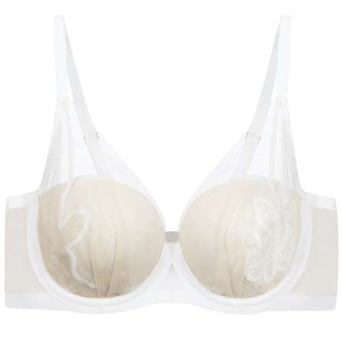 ۻ㣺ɫ1AD 75B ĽС629.1Ԫ