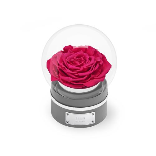 з--Բ-ػɫ ROSEONLYõ廨1299Ԫ