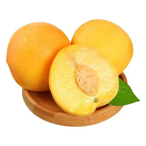 2 120g+ ζڻʲժʱˮ