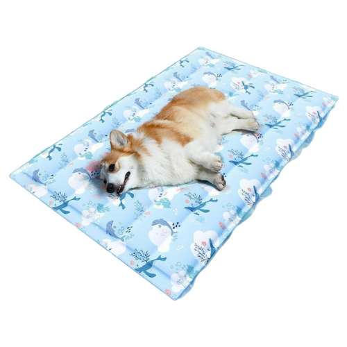 ɫѩ 40*30cm 10ڳ ϯӹè˯ص潵Ʒļ12.9Ԫ
