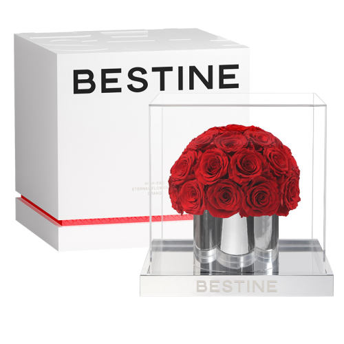 HOT õ廨-Դ̺-27CM BESTINEõ廨Ͱ1789.1Ԫ