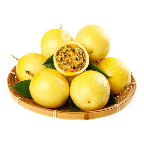 ڲ1 С 11-13/ ƽ56.4Ԫ