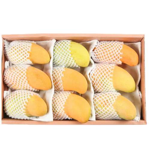 ڲ3 С300g+ʵװժַ ââˮâժȴӦˮ99.7Ԫ