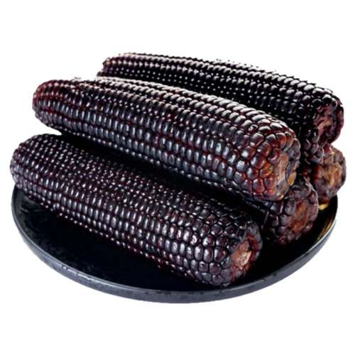 Գζ?Ŵ220*3 ºŴժװŴ״5.9Ԫ