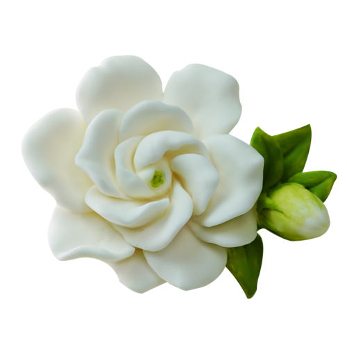  ӻڣӻ1ƿ) ӻ޹1ƿ29.8Ԫ