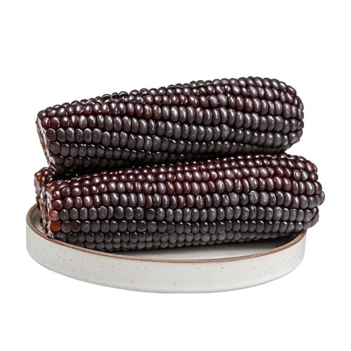 ¿ͳʡŴ׶220g5 ͷ糣±ܹⱣŴ14.62Ԫ
