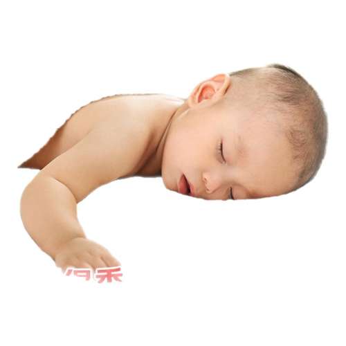 ڲ3800g 1 800 259/ޡ׶̷3800g*1콢259Ԫ