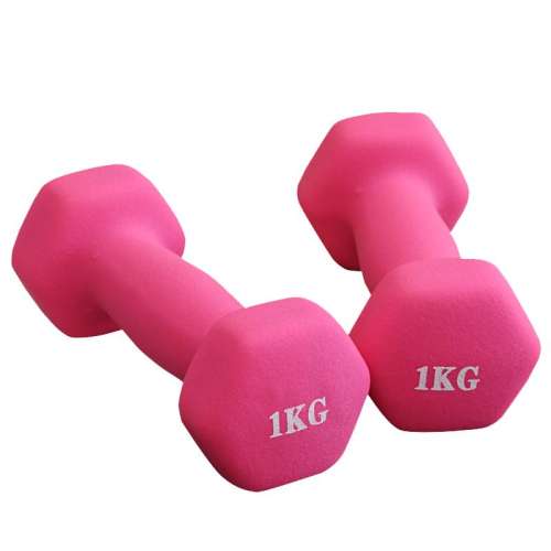 ĥɰɫ 2kg1kg*2ֻʹýѡ ŮʿܱСһ2kg1ý31Ԫ