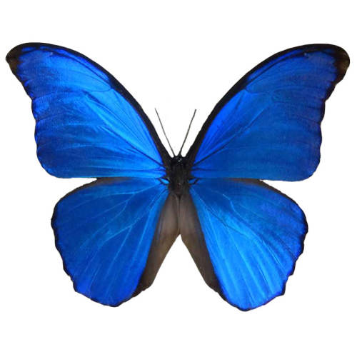 Ǩ۵ɫ Ӻ걾ڼѧ20.49Ԫ3(6.83Ԫ/)