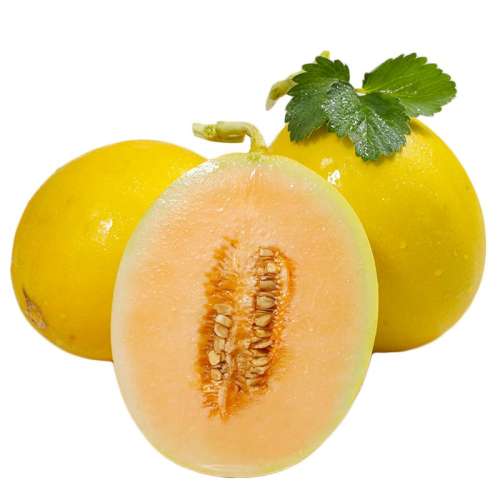 ڲ2 600g+ ɳĮƺ۹ϾѡƷ13.8Ԫ