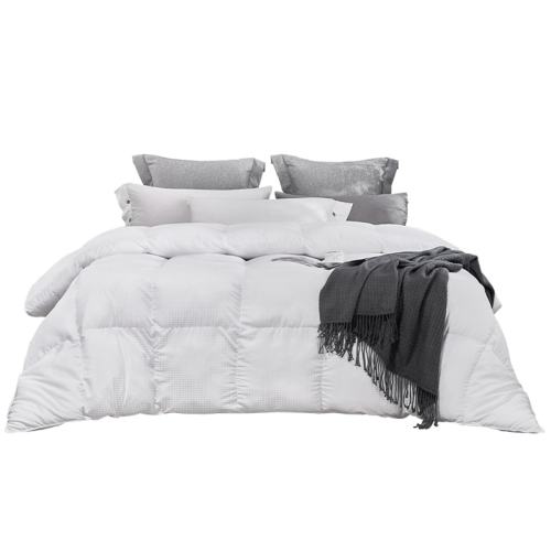 ۻ㣺200x230cm ɫ ˹ŵάﶬӱо273.6Ԫ2(136.8Ԫ/88VIP 95)