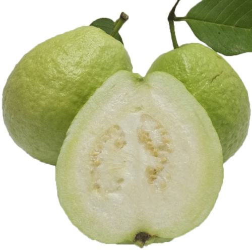 2500g İ5װ29.8Ԫ