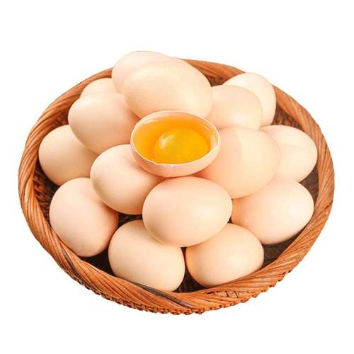 ڲ20ö š40g/ö ũ20ö11.26Ԫ
