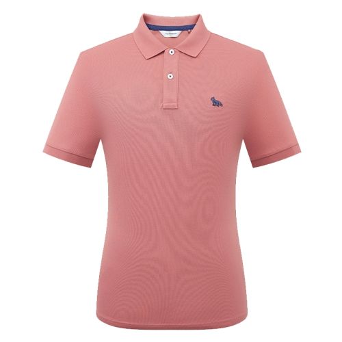 Ƥɫ 50 мԼt͸polo260Ԫ