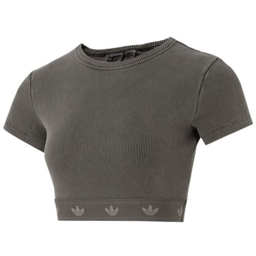 ڲJD0041 XS adidasϴ˹ҶŮRIB SS TOP˶жTJD0041408.1Ԫ2(204.05Ԫ/)