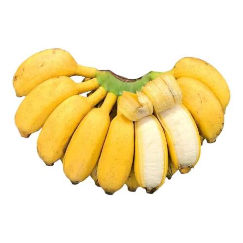 ڲ1 ڹС׽㽶9ˮ䵱ƻȻ۰427.79Ԫ