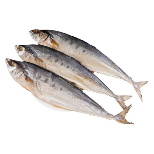 ɹ2-3(500g) 500gɹɵɺɫ÷