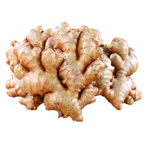 500g 2025СƽϽڸɽɳ߲96.21Ԫ