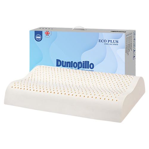 ECO PLUS  ʵ dunlopillo߻379Ԫ